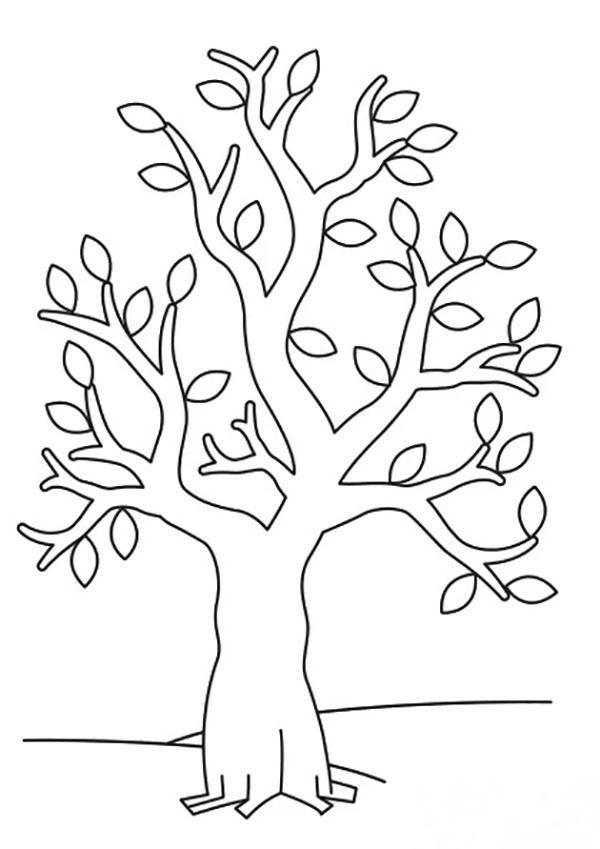 шаблон дерева 